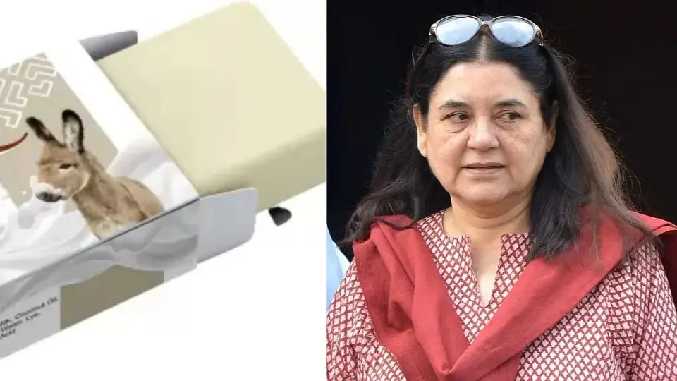 Maneka Gandhi Raises Alarm Over Centre Draft Animal Testing Rules , Alleges Proposals Favour Companies