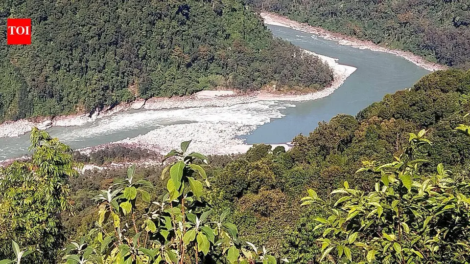 Student groups hold rally against Siang project | Guwahati News
