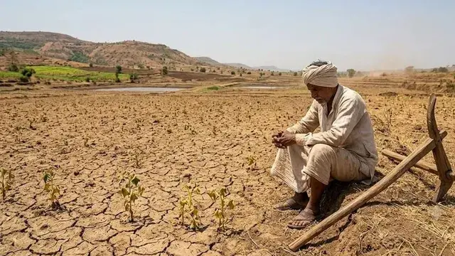 अलनीनो का डबल अटैक : खरीफ के बाद अब रबी की फसलों पर मंडराया संकट - el nino impact low soil moisture and water scarcity threaten rabi crops sowing