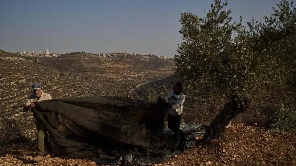 Five Italian activists held in West Bank have been repatriated , Italy Foreign Ministry says