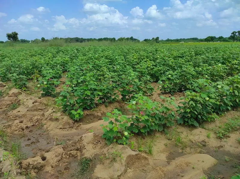 Delhi circle rate meet on cards , farmers eye whopping Rs 10 cr / acre