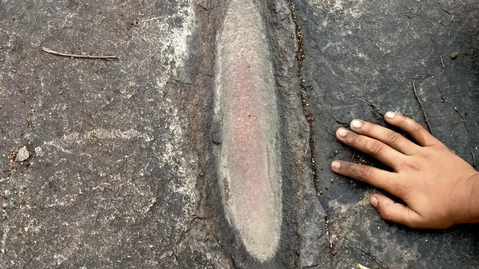 Prehistoric rock formations found at Mrugavani National Park