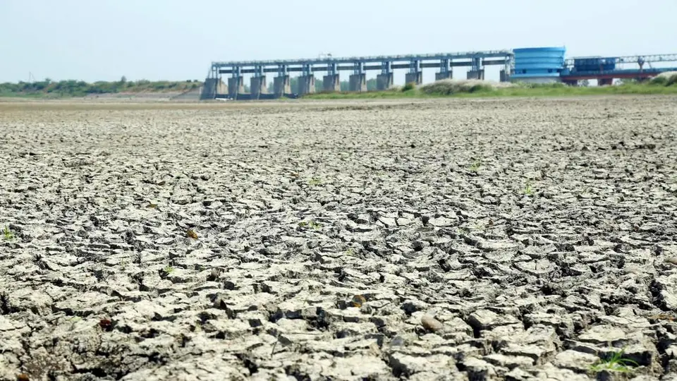 Telangana declares 365 mandals drought-affected, of which 111 severely drought-affected