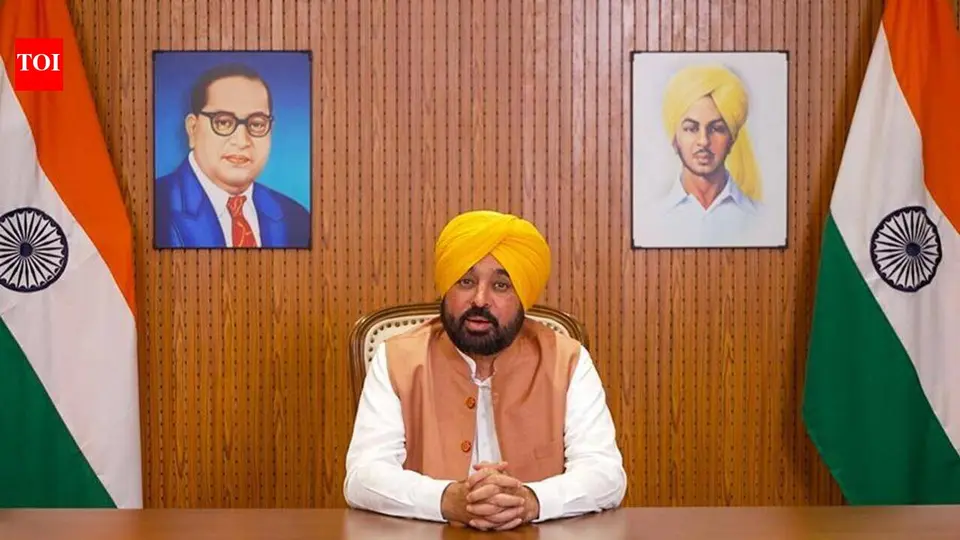Make challan public : Punjab BJP quetions CM Mann over airport fine | Chandigarh News