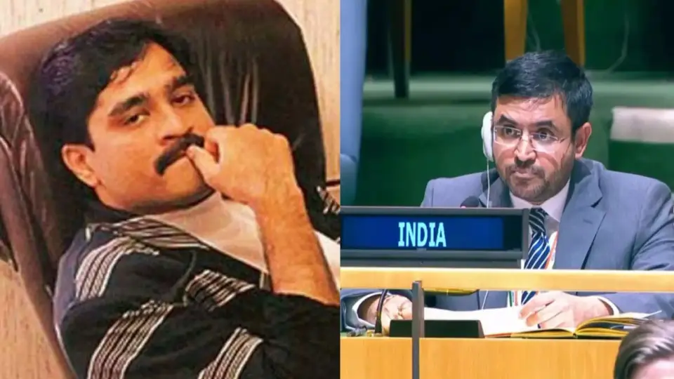 India On Dawood Ibrahim , दाऊद इब्राहिम की पाकिस्तान में कारगुजारियों को नजरअंदाज किया , UN के विशेष दूत को भारत ने लिया आड़े हाथ - indian diplomat raghoo puri hits out un spl rapporteur ben saul over
