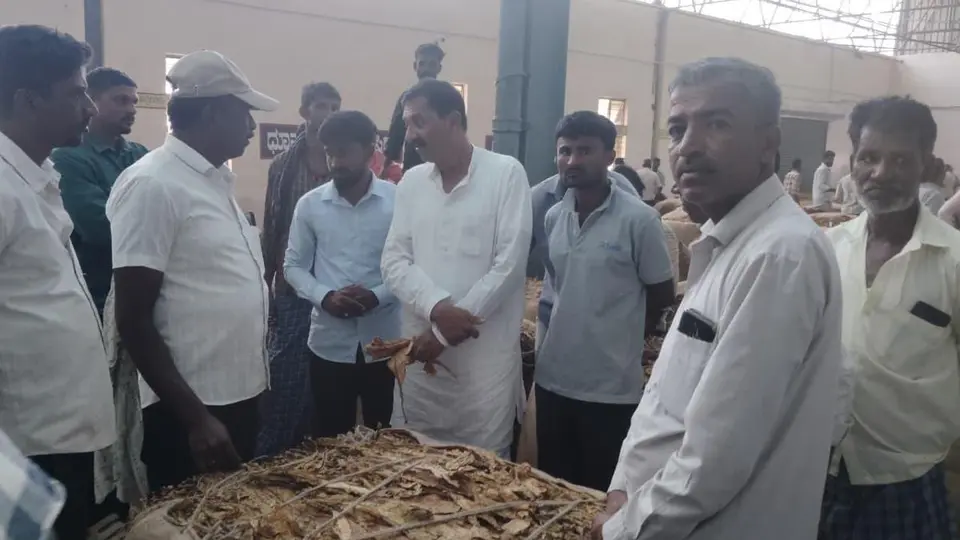Congress leader calls for a minimum of ₹300 per kg of tobacco
