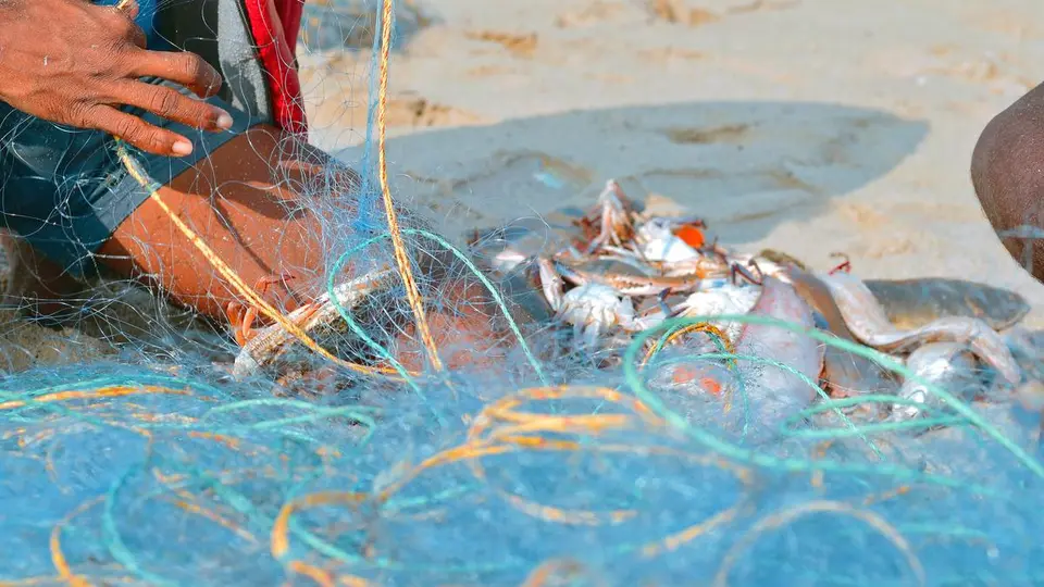 The real crisis in India’s fisheries