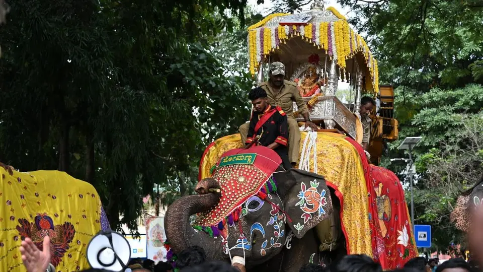 Shivamogga Jamboo Savari: Scary scenes as howdah elephant Somanna runs amok