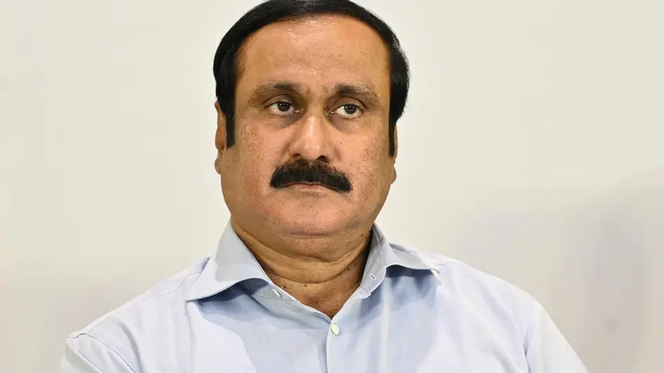 Anbumani seeks demolition of retaining wall and walkway being built in Pallikaranai Marsh