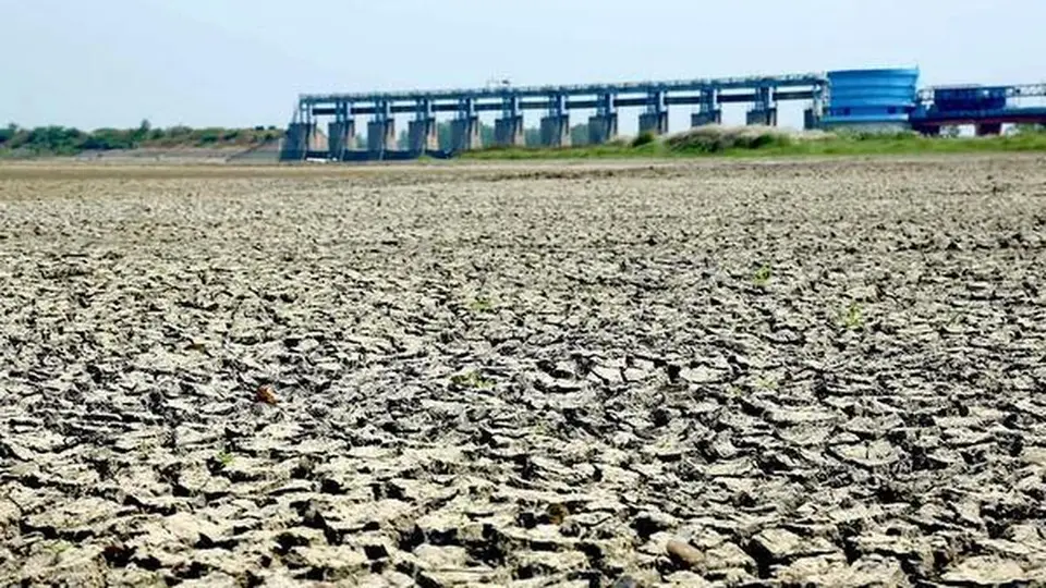 Mandal level committees to oversee El Niño mitigation measures in Telangana