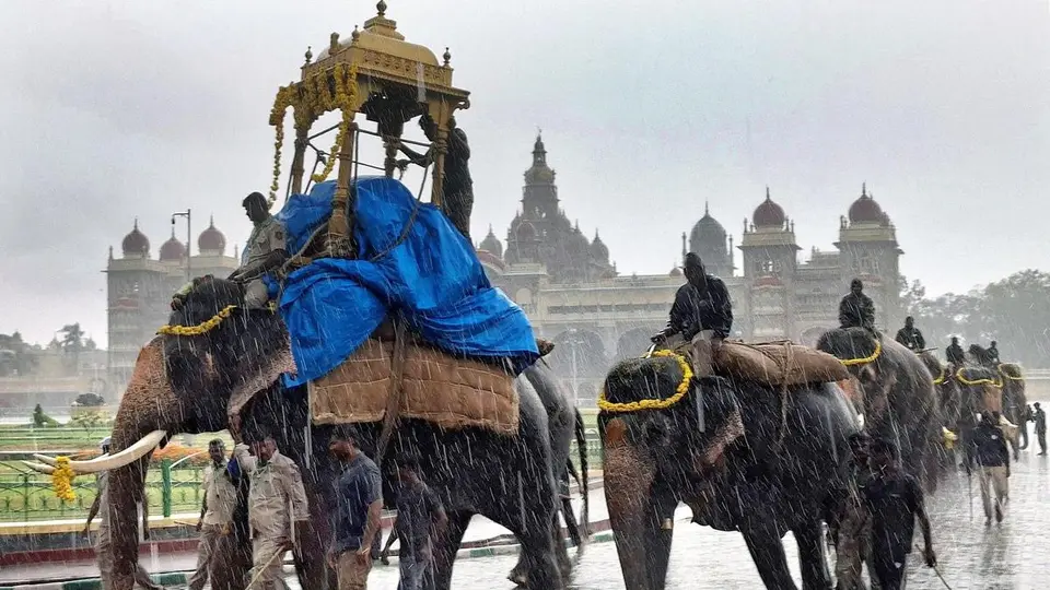 The Howdah Bearers | Mysuru's Dasara elephants