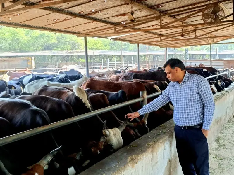 Gaushala Inspection : निगम कमिश्नर ने गौशाला का जायजा लिया , सफाई व्यवस्था सुधारने और चारे का रिकॉर्ड नियमित रूप से अपडेट करने के निर्देश