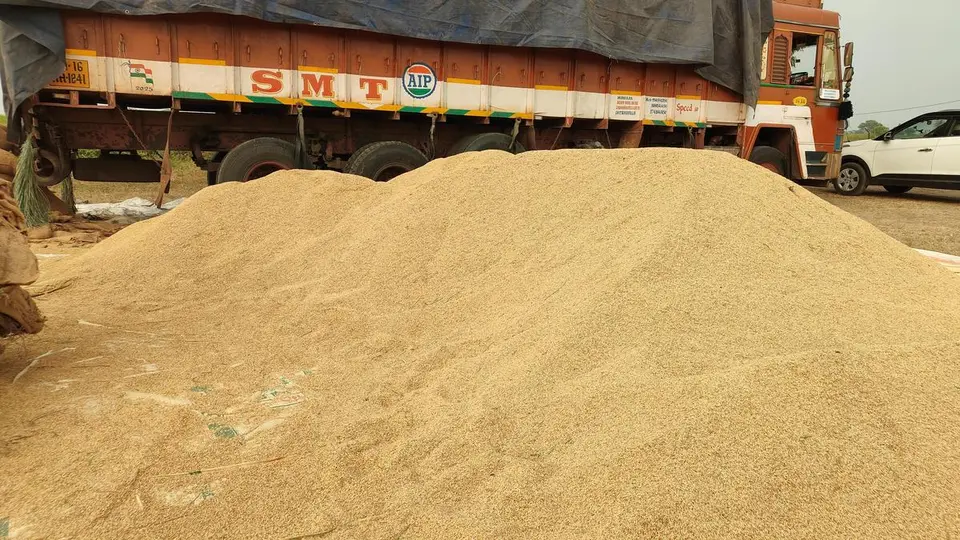Paddy prices offer relief to farmers in drought-hit Yadgir