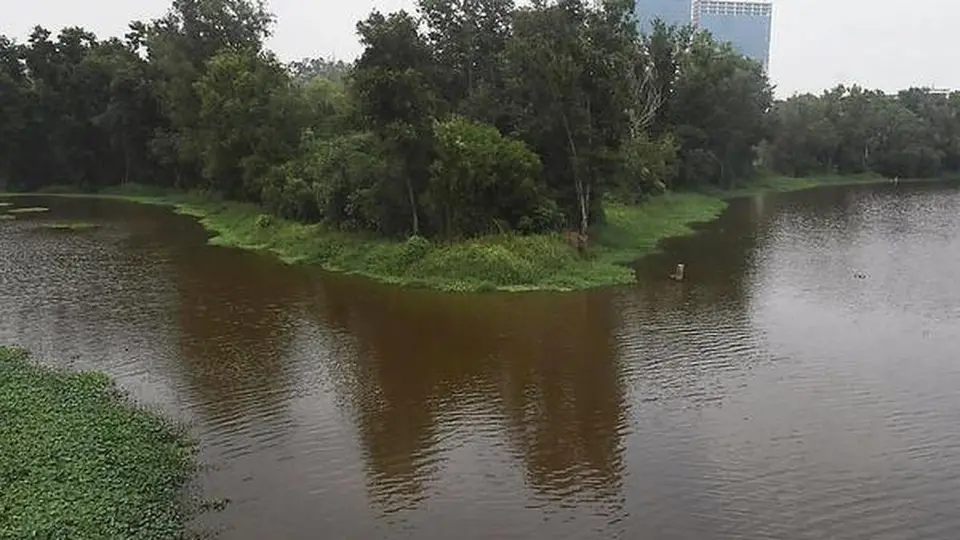 Kadambrayar River pollution: PCB seeks action-taken report from Thrikkakara municipality