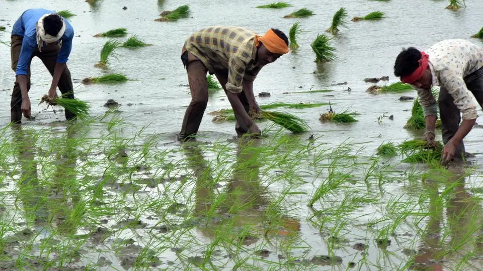 24th instalment of PM-Kisan to be released today