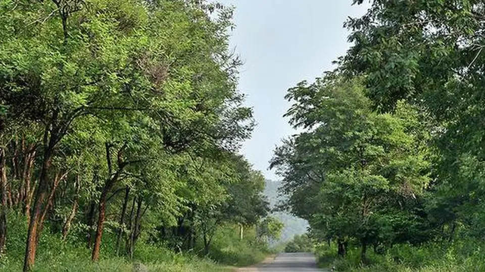 Human rights groups to probe shooting of three persons in Cauvery Wildlife Sanctuary