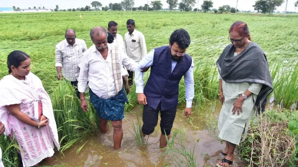 Guntur Collector inspects cyclone-hit paddy fields, assures farmers of support