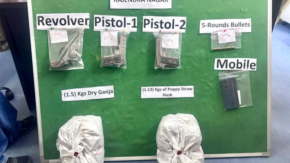 Ganja, two firearms and ammunition seized