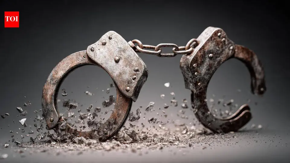 Mob attacks Kullu cops , frees drug suspects