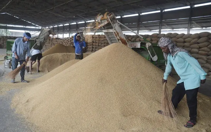 Rice miller strike ends ; paddy procurement , lifting resumes in Phagwara
