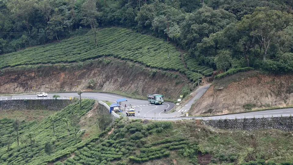 Forest dept. all set to build elephant crossings on Gap Road in Idukki