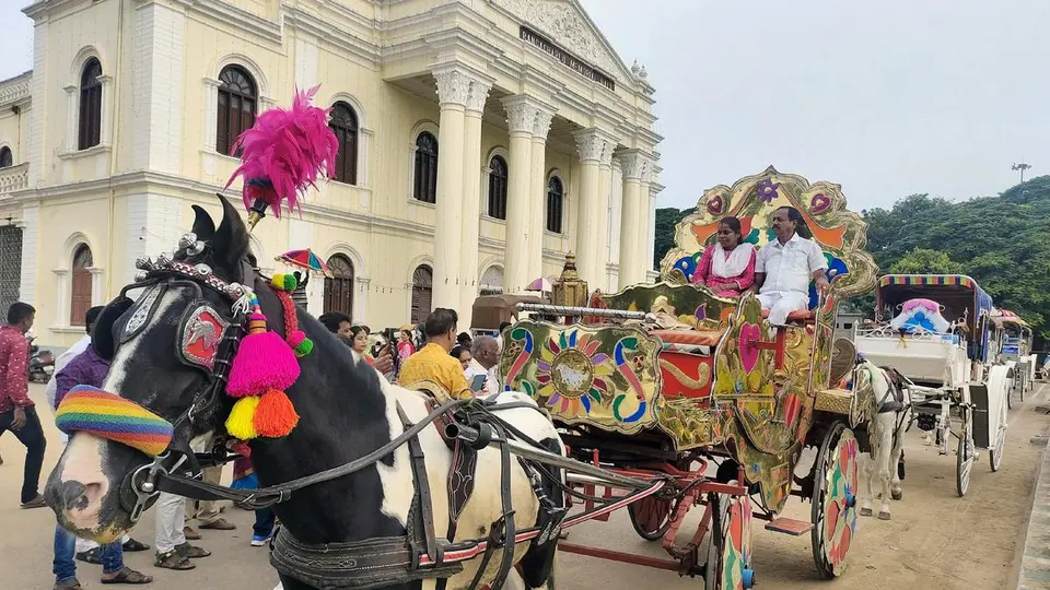 Animals steal the show at Mysuru Dasara 2026