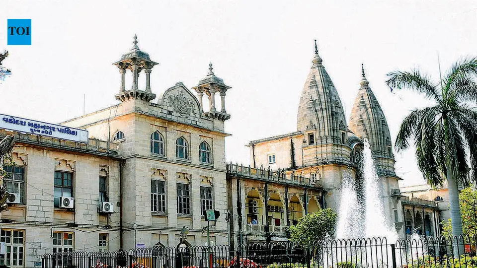 VMC proposes ₹20 . 84cr outlay for 23 litter - picker machines