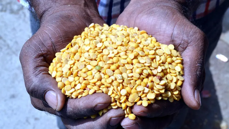 Kalaburagi’s GI-tagged tur dal wins PM’s praise after export to Maldives