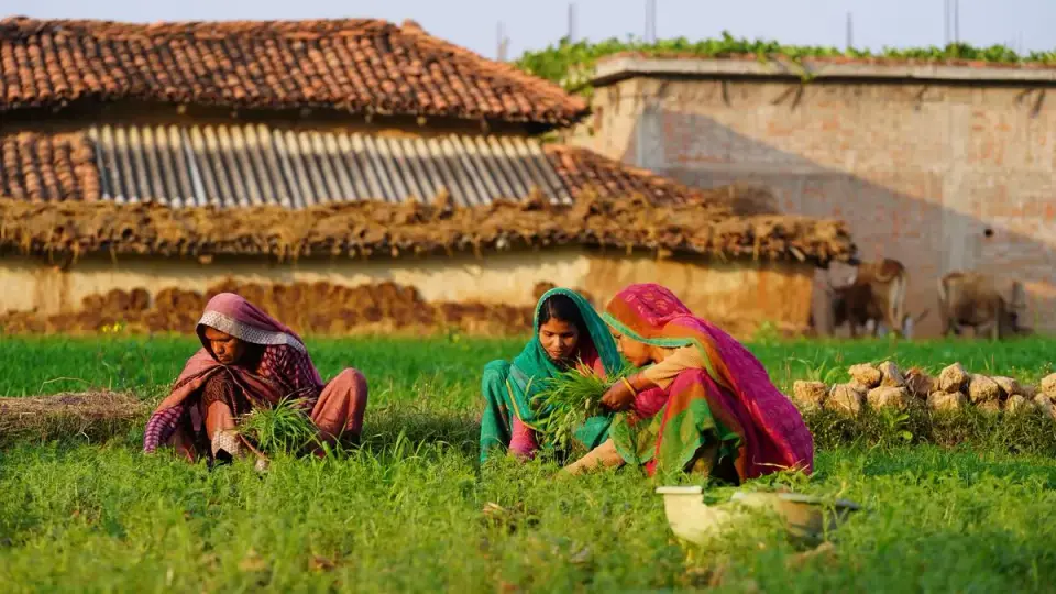 Restoring degraded landscapes can help improve rural income : WRI India