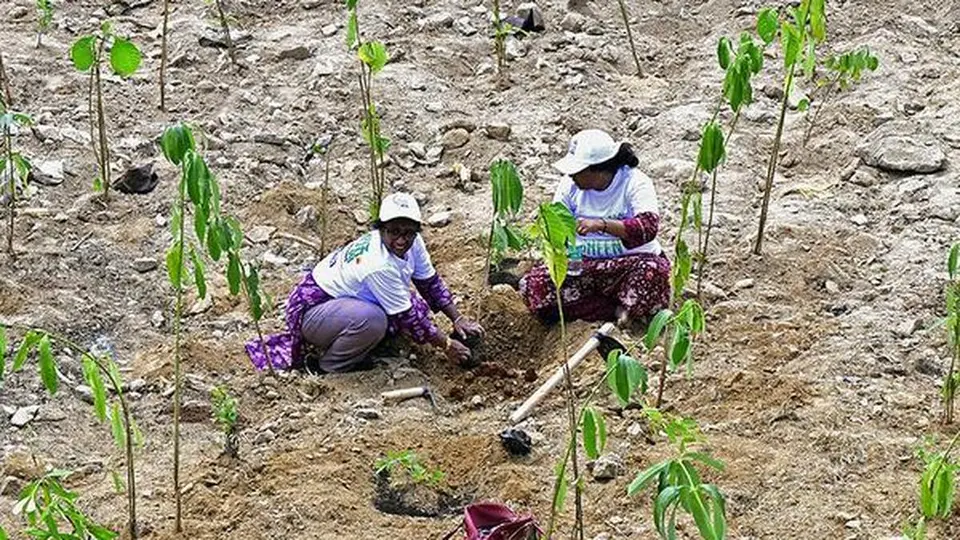 Maharashtra government releases ₹90.72 lakh for plantation upkeep amid drought in 304 talukas