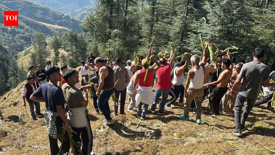 A battle of penance marks Dussehra in Jaunsar villages | Dehradun News