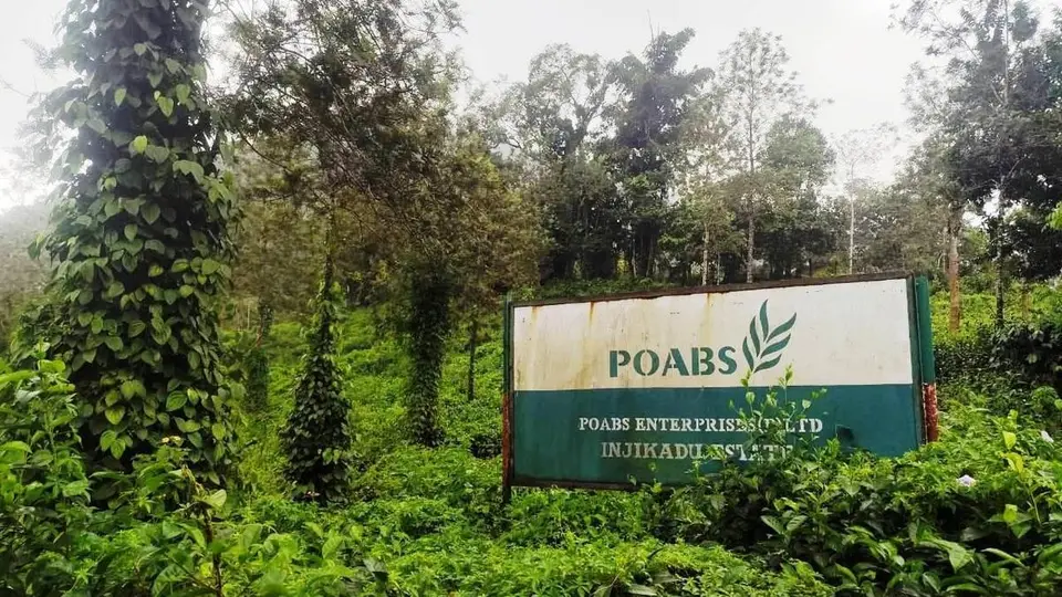 Abandoned plantations in Idukki raises threat of human-wildlife conflicts