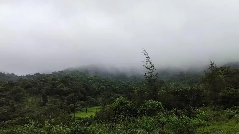 Over 17 lakh applications seeking grant of land remain pending or rejected in Karnataka