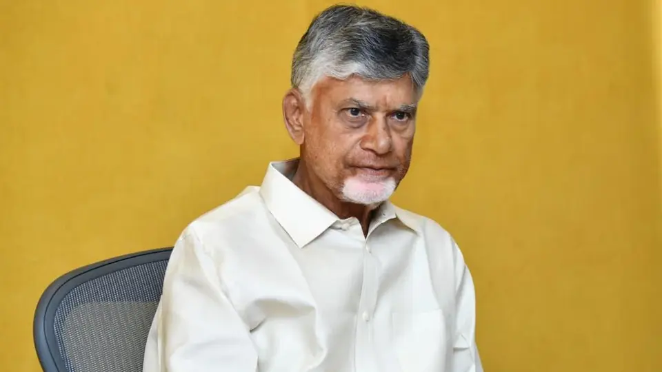Cyclone Arnab: Clear fallen trees within two hours, restore power once winds ease, Naidu tells officials