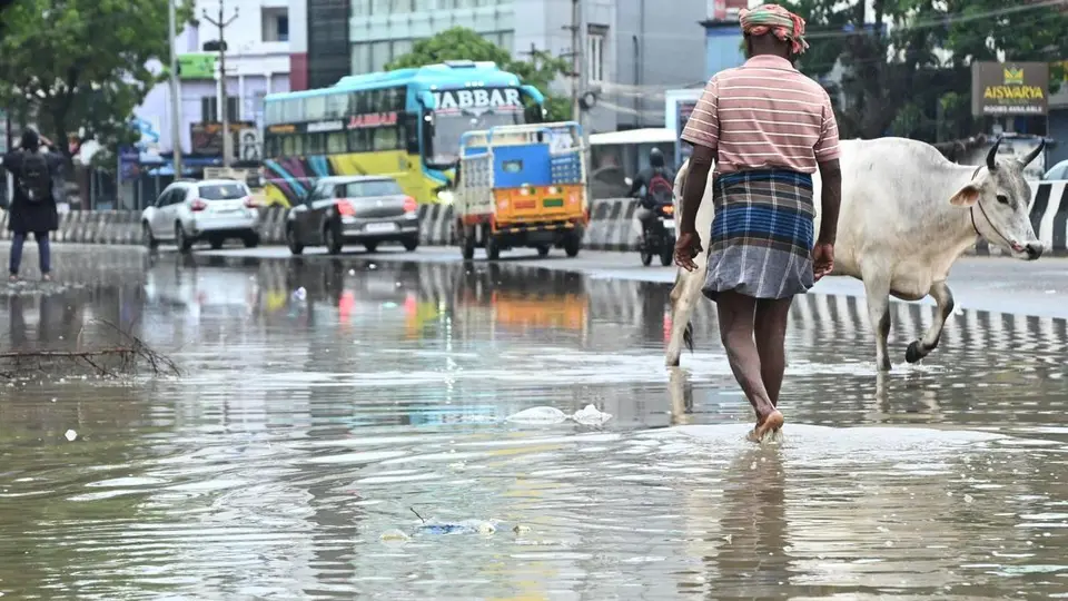 Rain lashes districts across southern Tamil Nadu