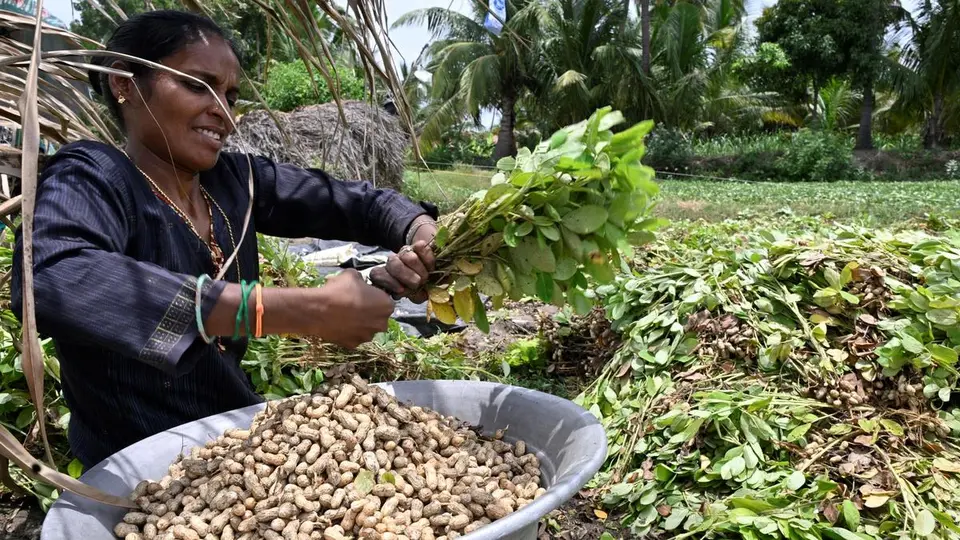 Towards recognising women farmers