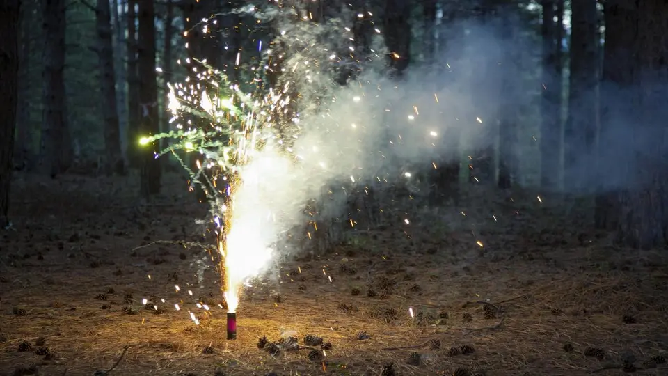 No firecrackers beyond stipulated hours during Kali Puja-Diwali in West Bengal: Environment Minister