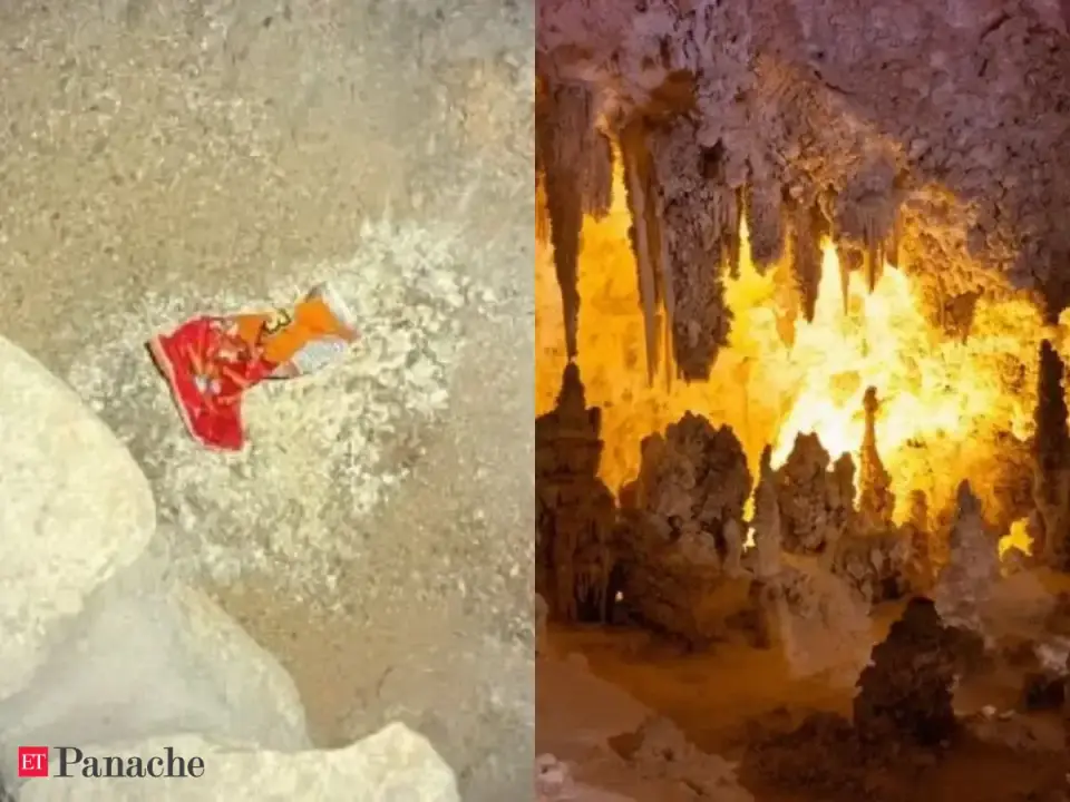 Stranger dropped a bag of Cheetos in America largest caves , disrupting an entire ecosystem . It attracted fungi , flies and insects ; Staff ended up preserving cave formation