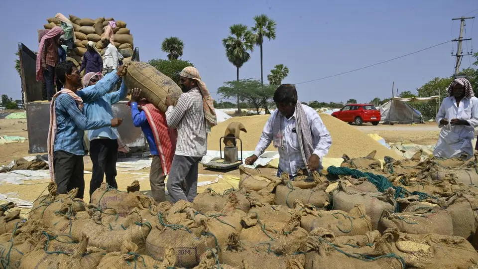 Telangana | People pre-book rice harvest to lock prices; farmers get ₹3,000-₹3,500 per quintal in open markets