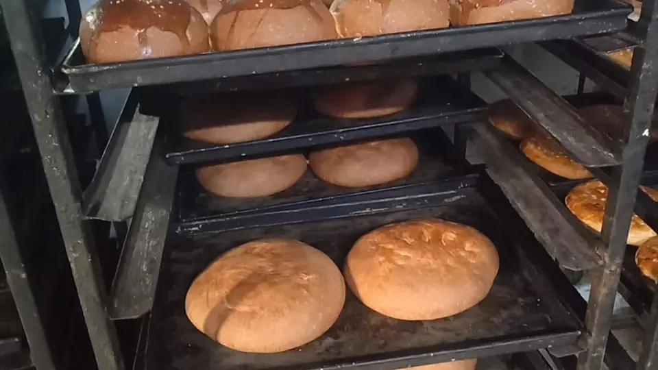 TG SAFE identifies food safety violations at several sweet shops and bakeries across TG, collects 38 food samples on suspicion of adulteration
