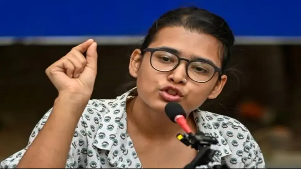 नेहा बोरा की दो टूक : बोलीं - पीस बॉन्ड पर साइन नहीं करूंगी , हाईकोर्ट से झटका लगने के बाद भी रुख पर अड़ीं