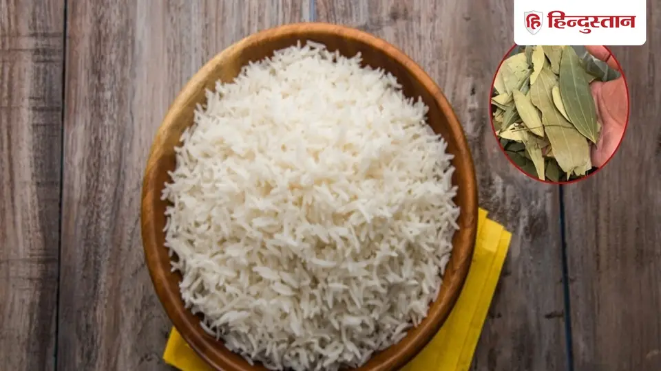 चावल बनाते हुए 1 तेजपत्ता क्यों डालना चाहिए ? सिर्फ खुशबू नहीं , ये फायदे भी मिलेंगे !