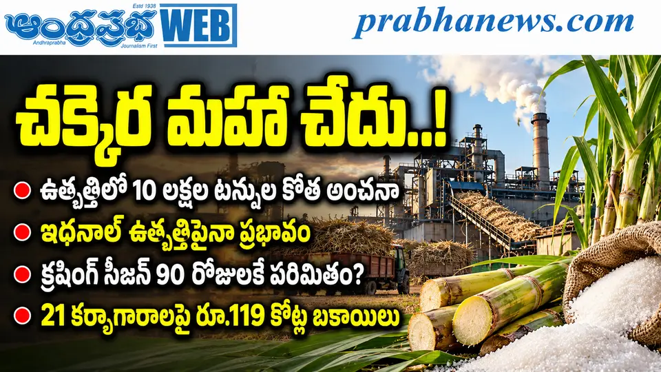 10 - Lakh - Tonnes - Sugar - Production - Fall : ఇక చక్కెర మహా చేదు ,,! Andhra Prtabha Top Story - Andhra Prabha | Telugu News Daily , Latest Telugu News , Latest తెలుగు వార్తలు and LIVE Updates | Br