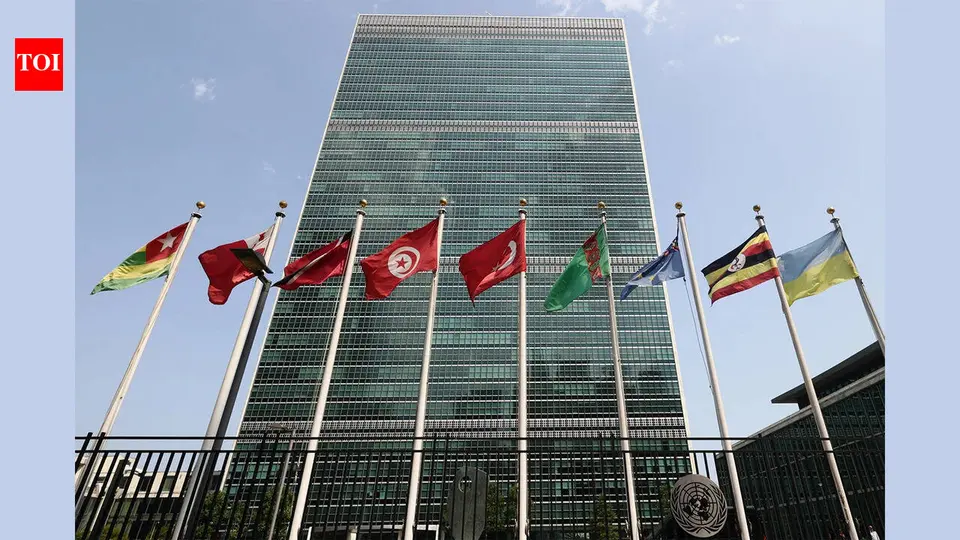 This isnt the UN we need - The Times of India