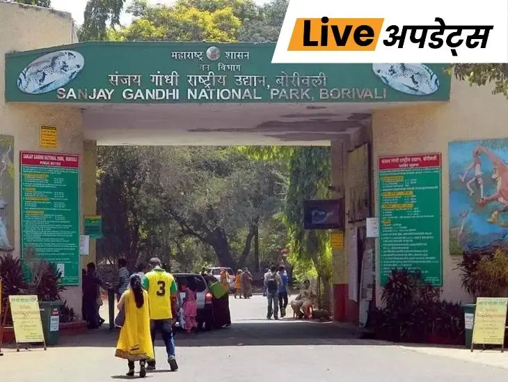 Breaking News Headlines Today , Pictures , Videos and More From Dainik Bhaskar