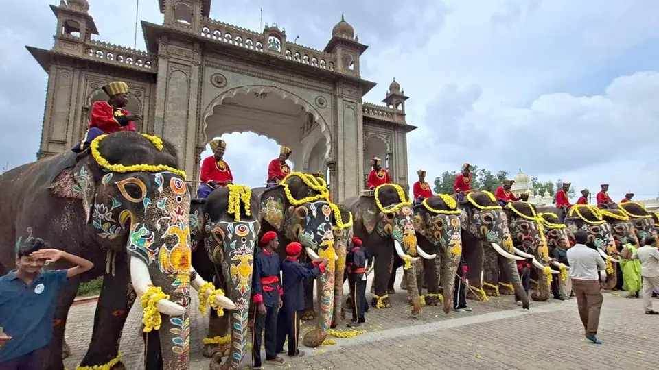 Dasara elephants return to jungle camps after a memorable Mysuru sojourn