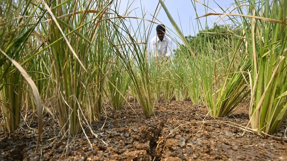 Telangana all-party meet on drought, El Nino conditions on October 28