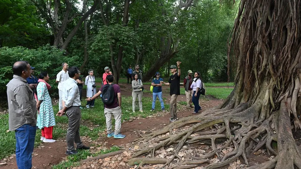 Cubbon walks in Kannada on Rajyotsava day