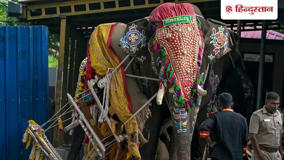 दशहरा जुलूस में बिदके हाथी , सोमन्ना के पीछे दौड़ा बहादुर ; देवी की अंबारी तोड़ डाली