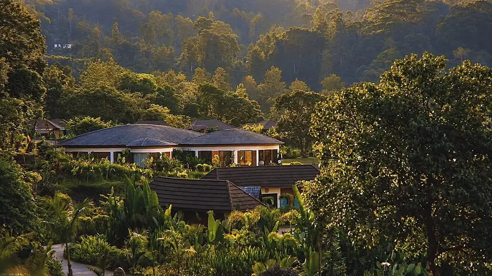 Karnataka’s coffee country: Inside its most immersive plantation stays